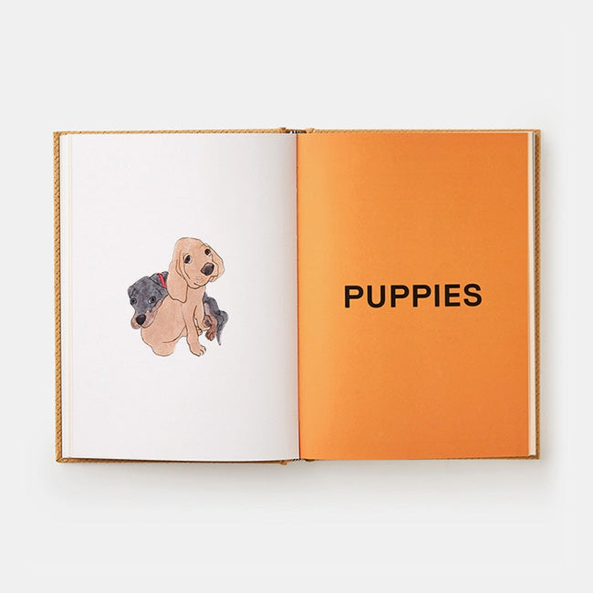 Phaidon | Feed Me: 50 Home Cooked Meals for your Dog Liviana Prola