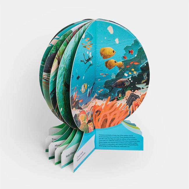 Phaidon | Our Underwater World: A First Dive into Oceans, Lakes, and Rivers