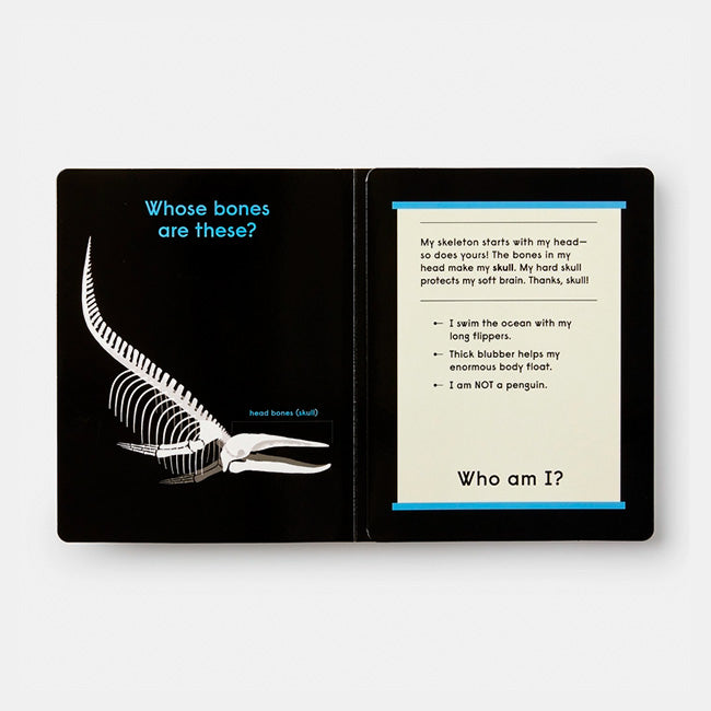 Phaidon | Whose Bones? An Animal Guessing Game