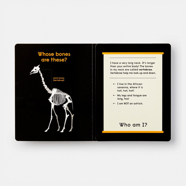 Phaidon | Whose Bones? An Animal Guessing Game