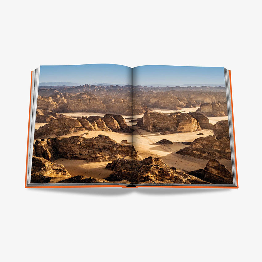 Assouline | Alula Ever