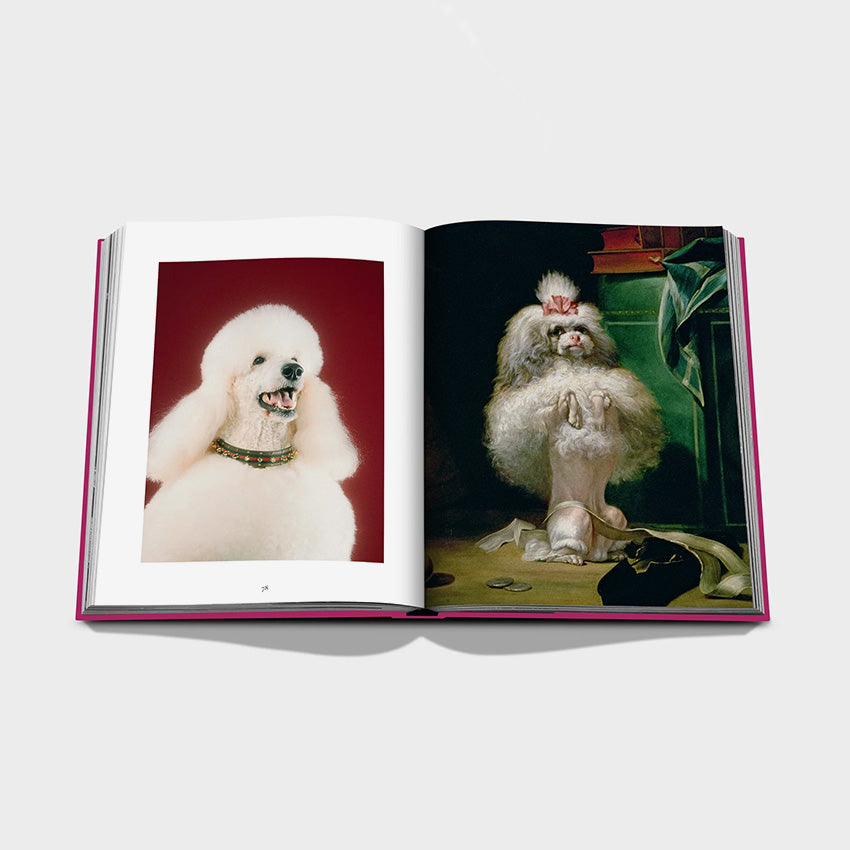 Assouline | Chic Dogs