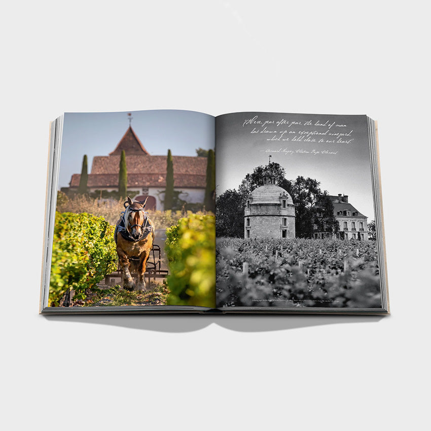 Assouline | Wine & Travel France