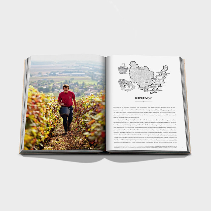 Assouline | Wine & Travel France