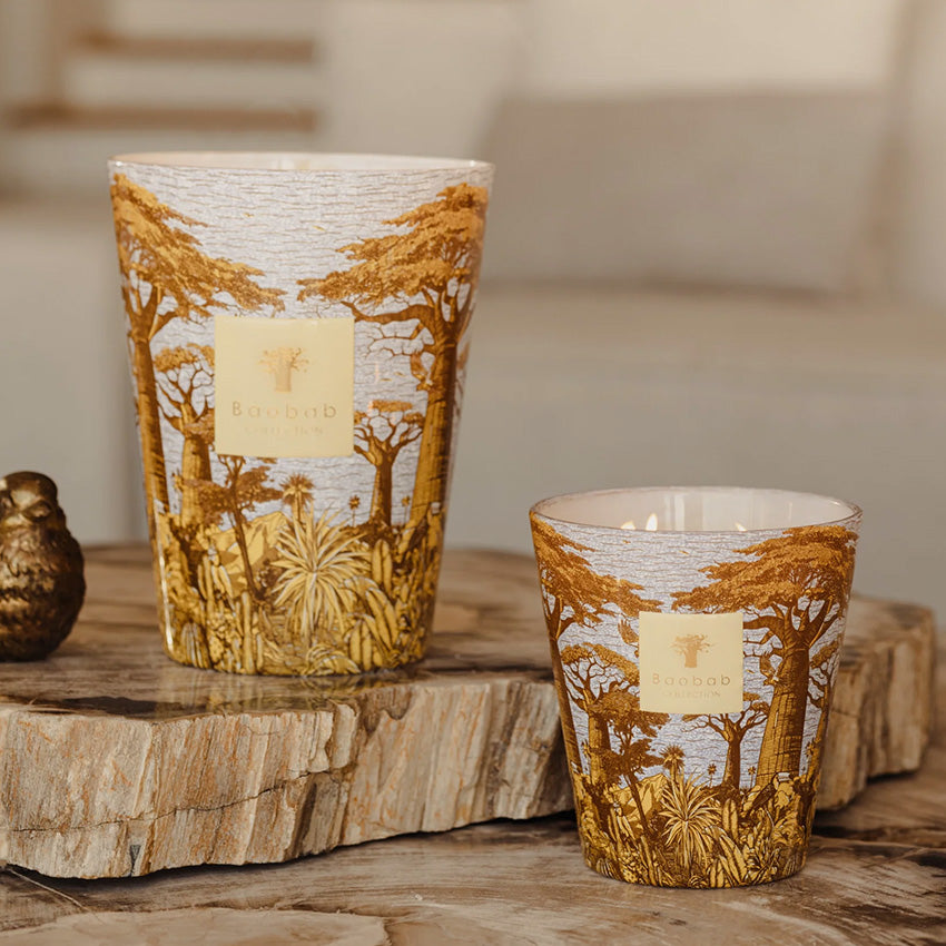 Baobab Collection | Sacred Trees Cocody