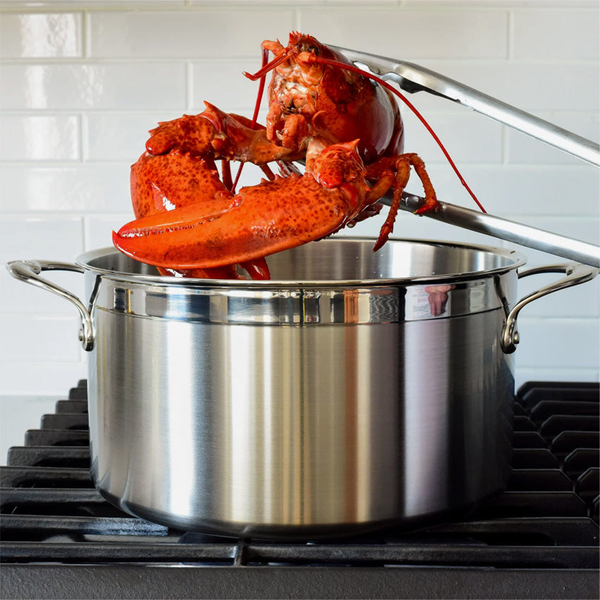 Hestan | ProBond Covered Stock Pot