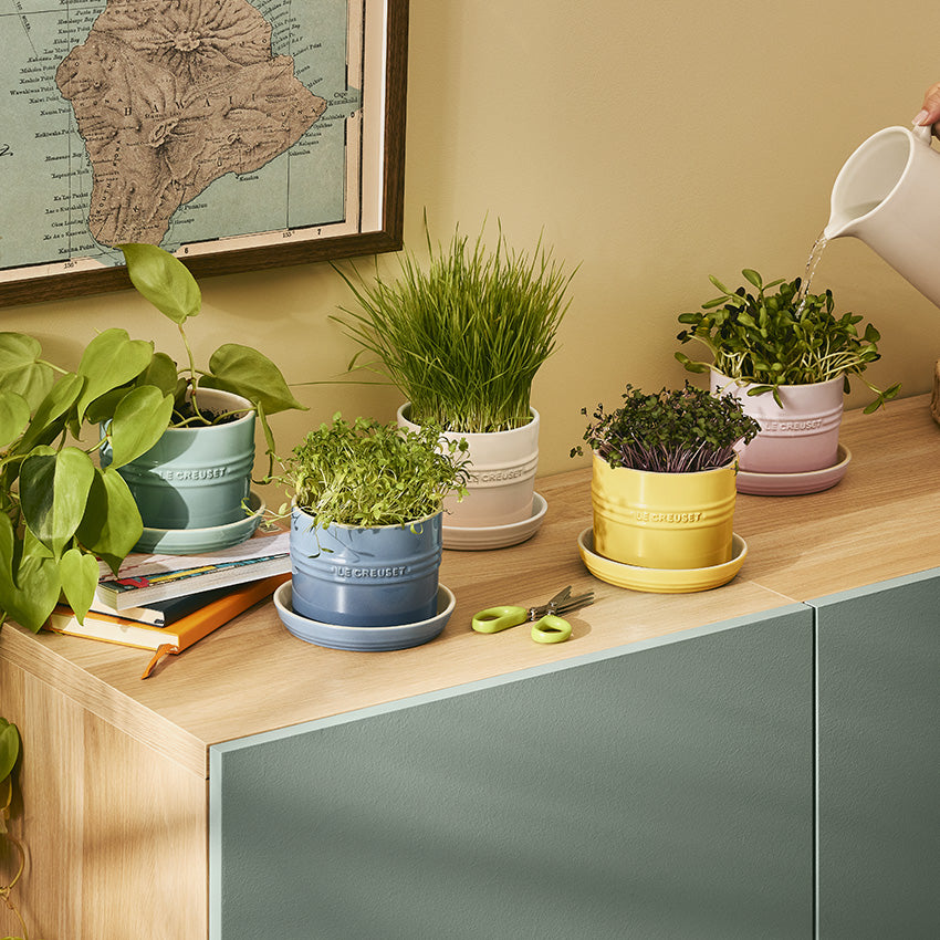 Le Creuset | Planteur d’herbes