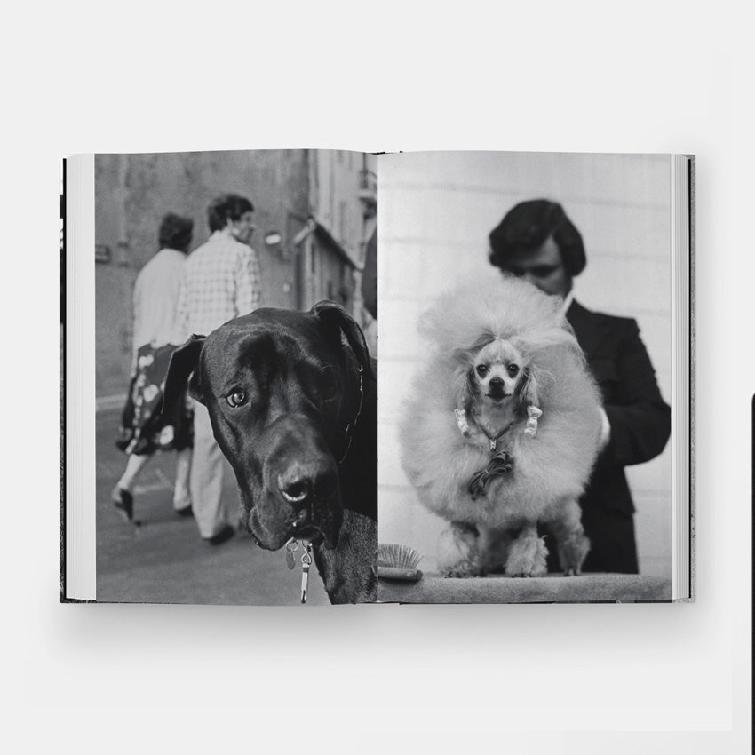 Phaidon | DogDogs