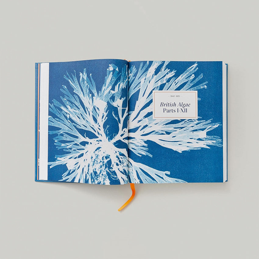 Taschen | Atkins, Cyanotypes (FFE)