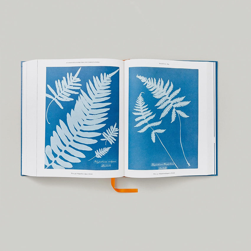 Taschen | Atkins, Cyanotypes (FFE)