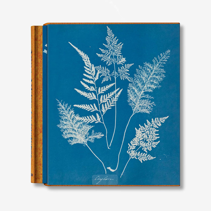 Taschen | Atkins, Cyanotypes (FFE)